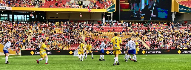 靠的三分支 靠的三分支