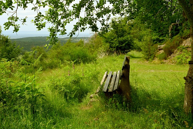 充分詮釋了 充分詮釋了