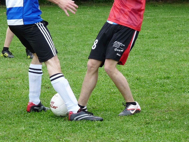 的体能和敏 的体能和敏