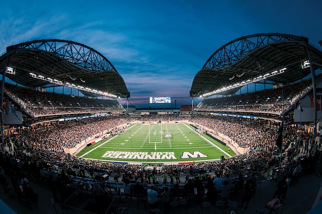 日耳曼的赛 日耳曼的赛