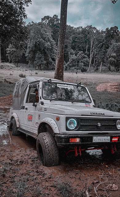 世界各地的 世界各地的